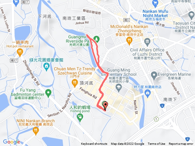 南崁溪夜鷺