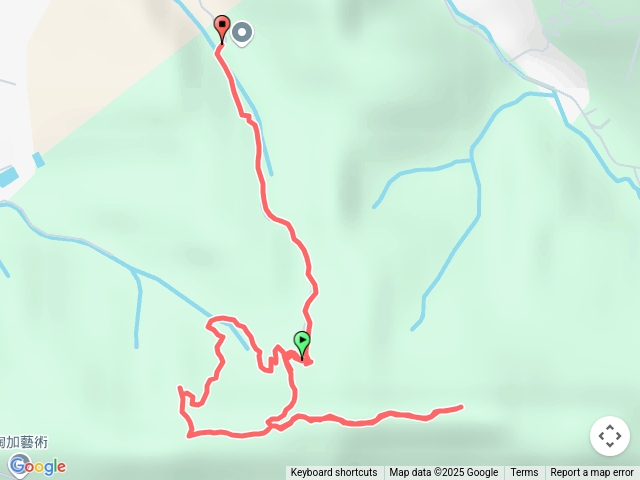 王公坑山血藤花