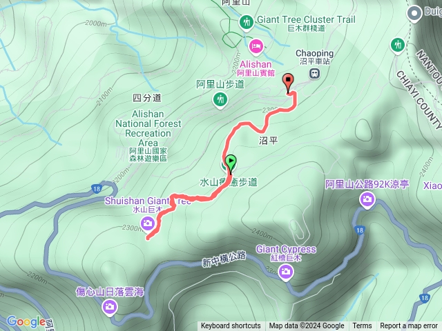 阿里山水山療癒步道113.8.31預覽圖