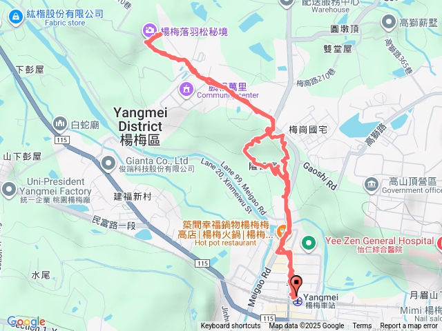 楊梅落羽松秘境