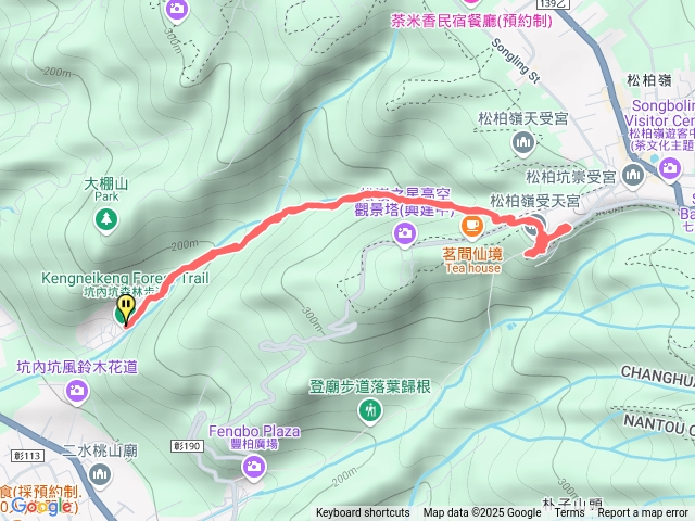 坑內坑新年行