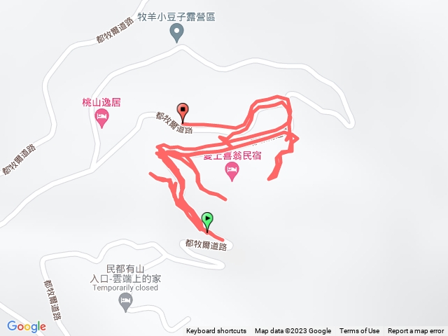 1120104愛上喜翁鵂鶹