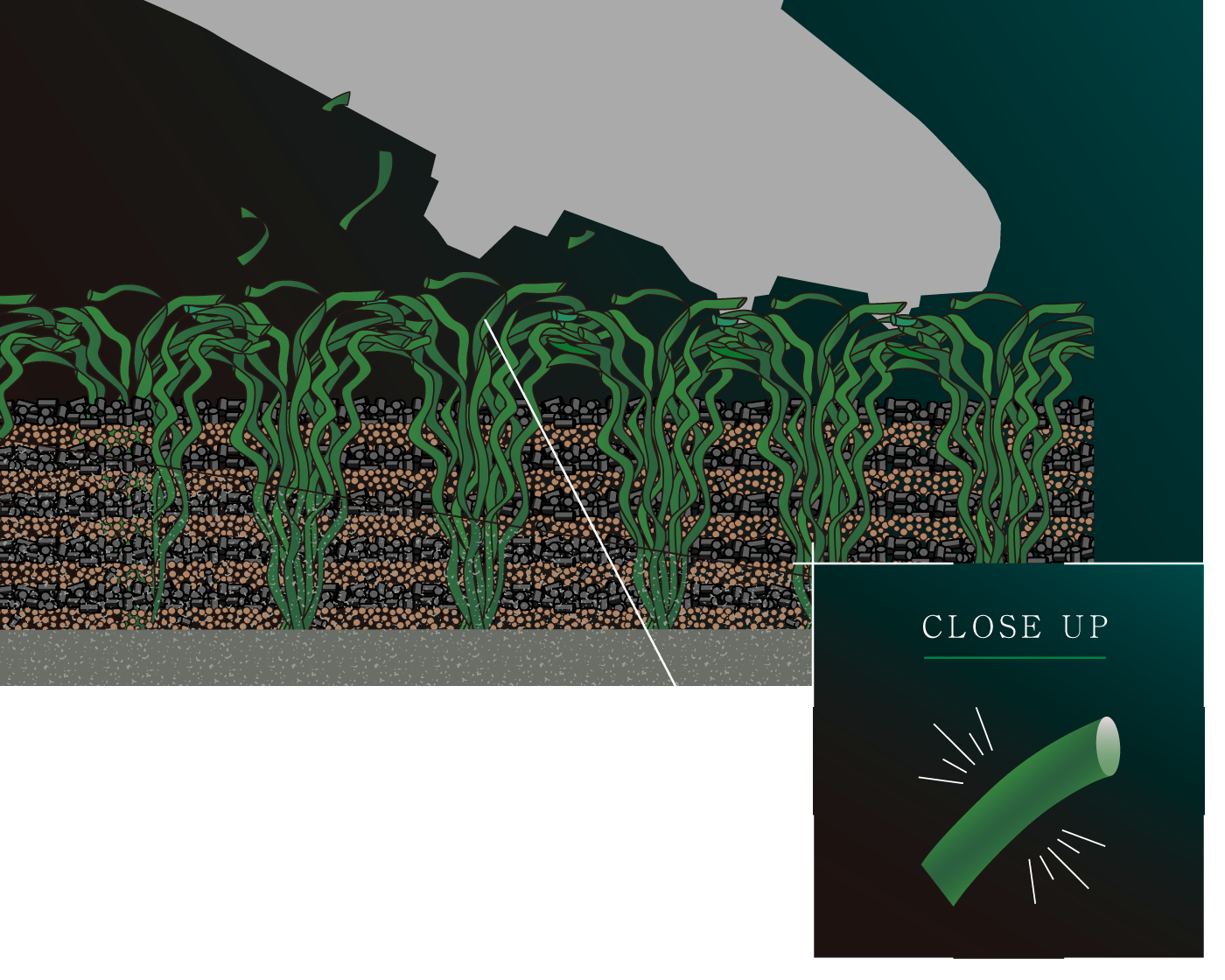 ダイアグラム

中程度の精度で自動的に生成された説明