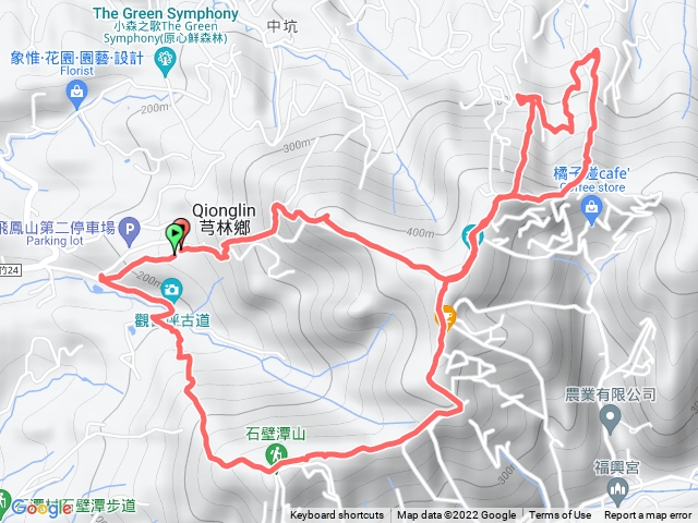 飛鳳山大板根O型