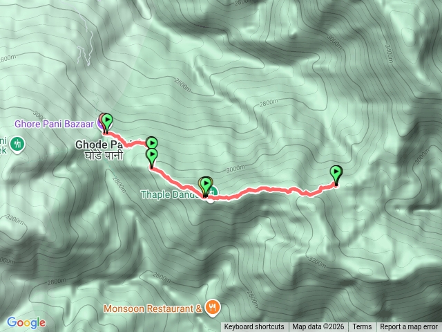 葛雷帕尼2850m山屋到3180m杜鵑花健走20260330