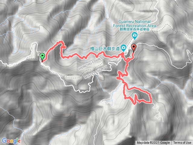 觀霧檜山巨木步道 臻榛山步道