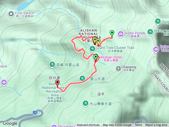 阿里山巨木群步道預覽圖