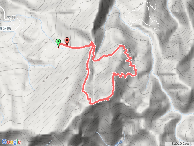 20200819 大坪登山口->避難小屋->加里山->杜鵑嶺->大坪登山口