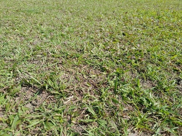 跑鞋抓地力知多少?