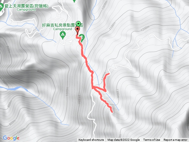 雲頂杉林營區走油羅山