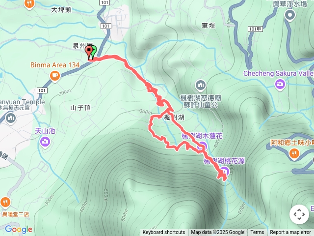 楓樹湖賞木蓮花