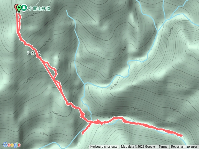 20260319_13坑溫泉步道_不期而遇