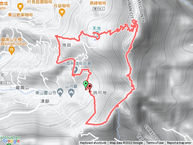 天大山樟O型20220428
