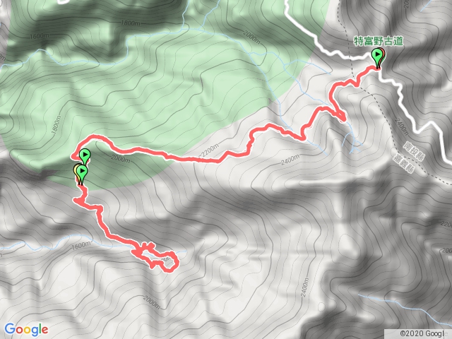 特富野喀喀神木群