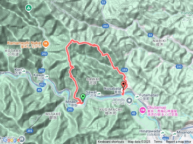 高水三山日本青梅