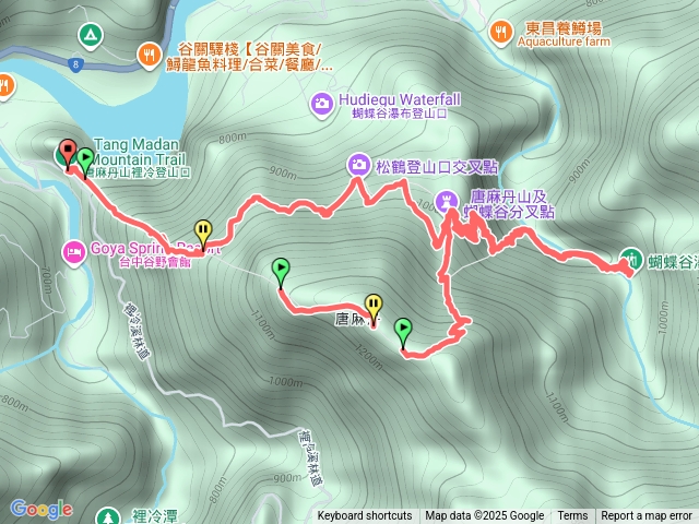 唐麻加蝴蝶預覽圖