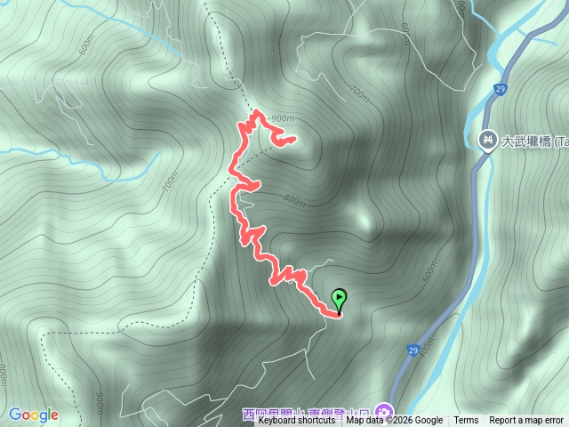 台29臨11便道9.5處上西阿里關山預覽圖