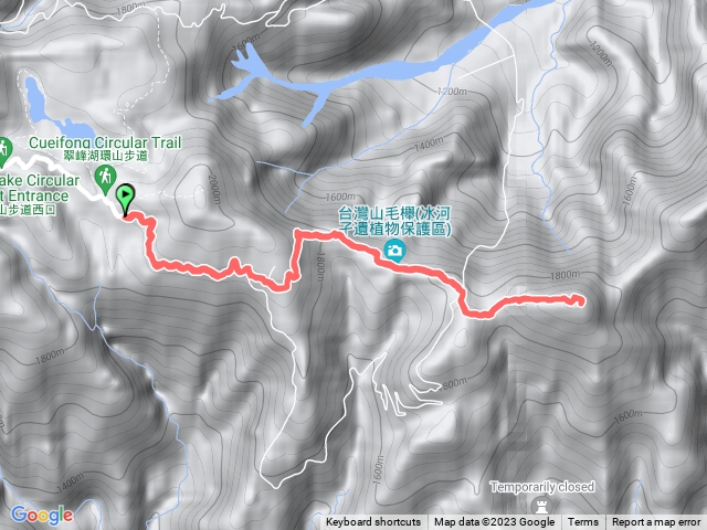 太平山賞山毛櫸