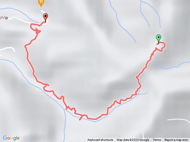 桃園金面山下山