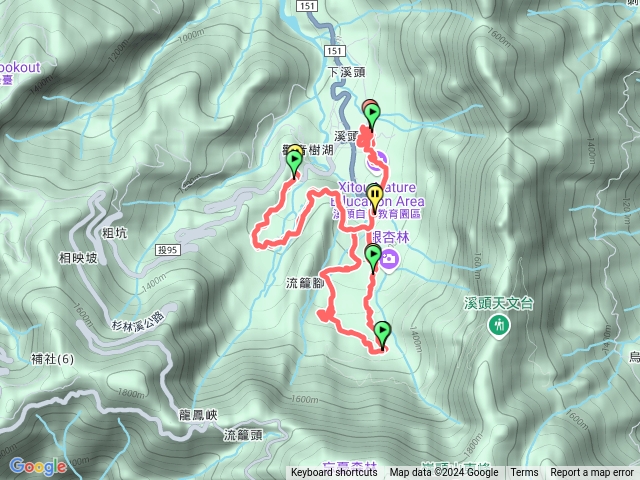 113.12.5溪頭健行