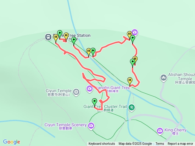 阿里山國家森林遊樂區巨木群步道