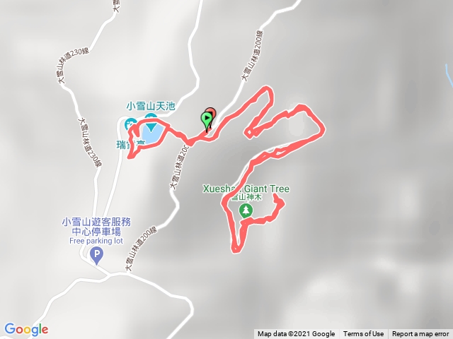 109.12.22 雪山神木 天池