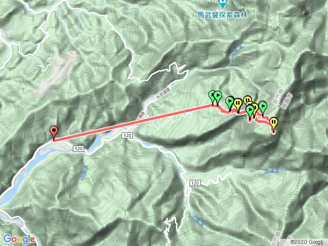 北得拉曼巨木區+內鳥嘴山