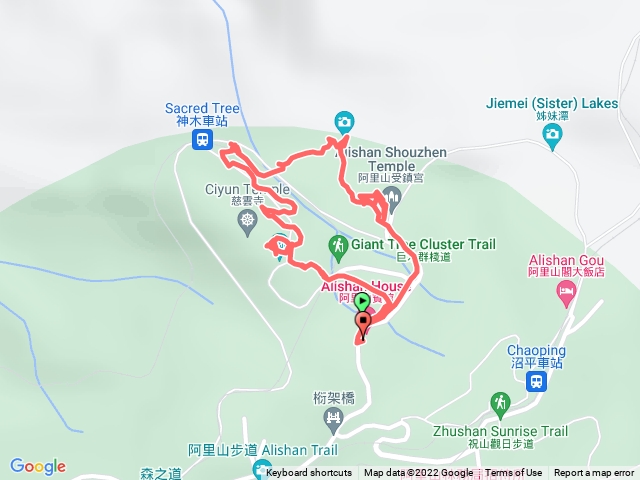 95企管 阿里山森林逍遙遊