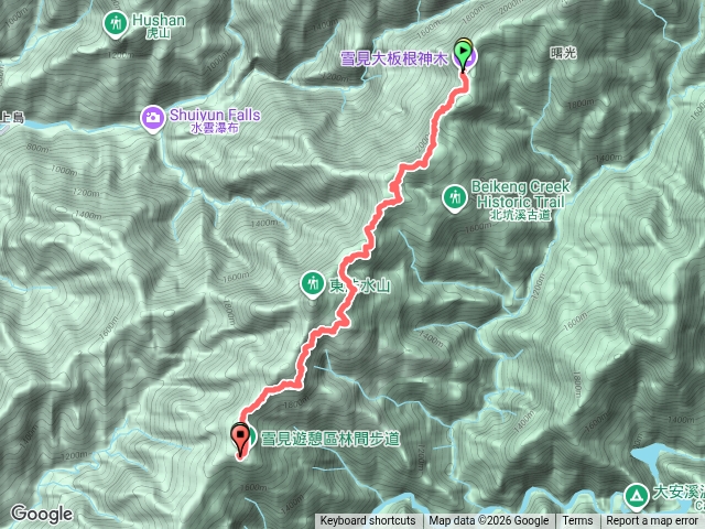 雪見北坑山大板根預覽圖