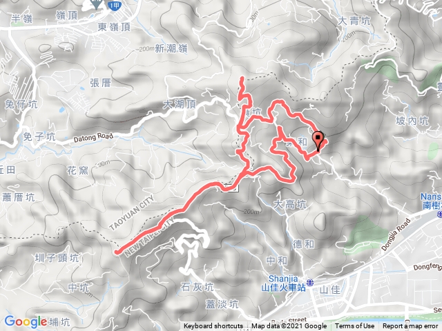 大棟山縱走大榕樹