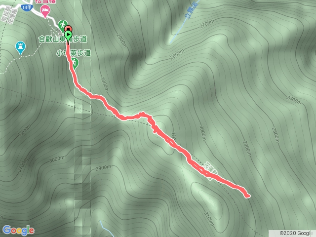 小奇萊步道賞杜鵑(2.4K來回)~親子登山