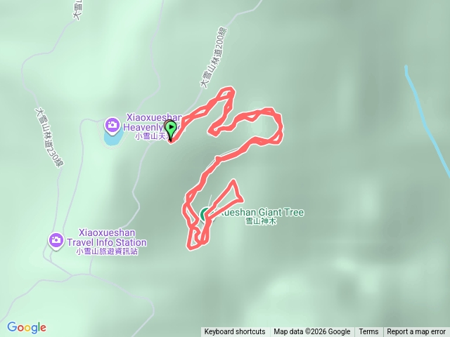 雪山神木預覽圖