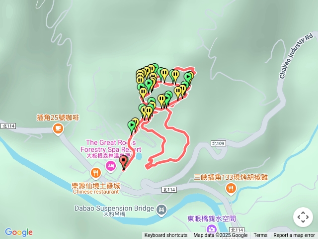 大板根森林步道