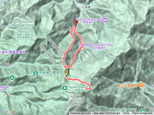 20251108-北插天山（第51刷）-金黃色山毛櫸【藍天白雲版】