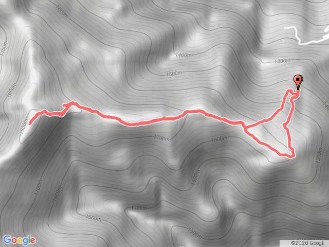尖石屯野生台山.石麻達山連走20181109