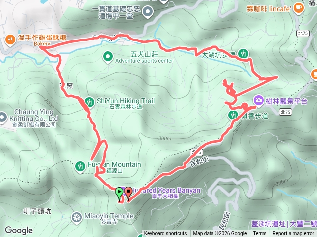 大榕樹一圈預覽圖