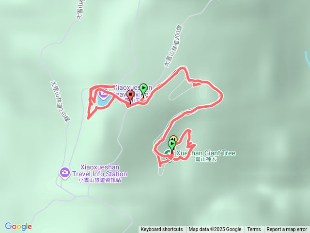 大雪山神木天池步道