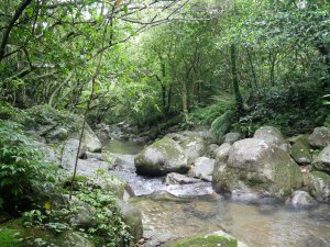 穿梭古今：從失落的石笋古厝遺址走進永續的雞母嶺水梯田