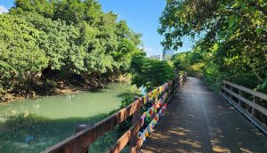 山水綠生態公園，舊雙溪河步道，洲美運動公園，磺溪彩虹健康步道，榮富公園，榮華公園，北投明德公園