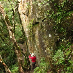 都蘭山步道