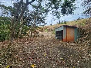 20260224雞隆山、八角林山、上果作園山