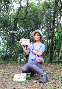 【崩山大崙- 石碇大崙】-磨石坑- 圳沽古道，約12k，約6小時，累積爬升656m.