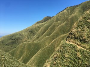 抹茶山～～聖母山莊