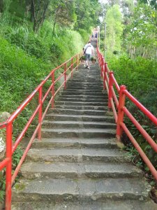 苗栗小百岳-⛰仙山登山步道