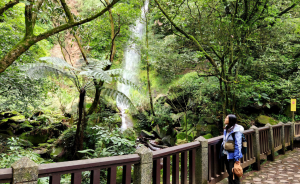 絹絲瀑布步道，菁山自然中心，黃嶺埔山，苗圃登山口上七星山，連走七星公園