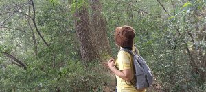 唐麻丹山(裡冷登山口)-2023/10/21