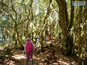 【桃園】悠遊塔曼山