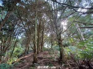 【南投國姓】兩個女生的山野包山行。 眉冷山步道x梅島山x眉冷山