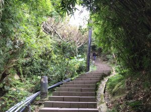 【山系野遊】楓櫃斗湖步道小試身手