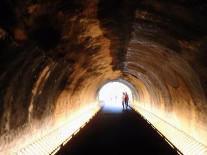 暖東峽谷-雙溪荷花園-雙溪老街-三貂嶺生態友善隧道, 輕鬆行!